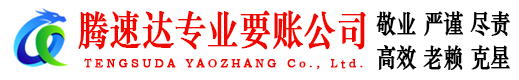 龙文讨债公司
